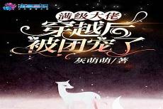 《满级大佬只走事业线》