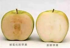 导致动物灭绝的原因
